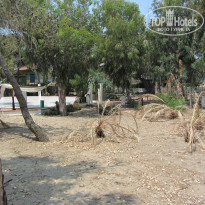 фото из отзыва ID 765973