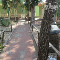 фото из отзыва ID 765973