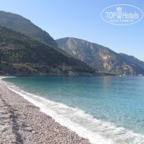 фото из отзыва ID 765297