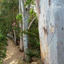 фото из отзыва ID 765652