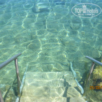 фото из отзыва ID 765847