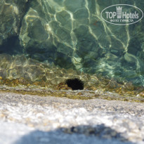 фото из отзыва ID 765847