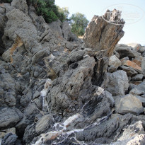 фото из отзыва ID 765981