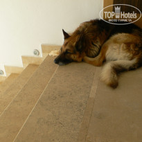 фото из отзыва ID 766406