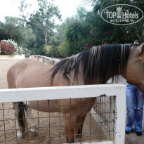 фото из отзыва ID 766519