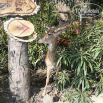 фото из отзыва ID 766519