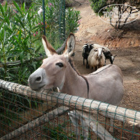 фото из отзыва ID 766519