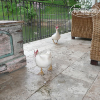 фото из отзыва ID 766519