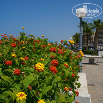 фото из отзыва ID 766548