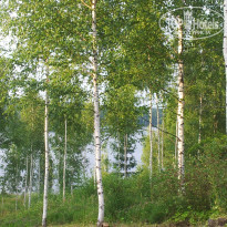 фото из отзыва ID 766578