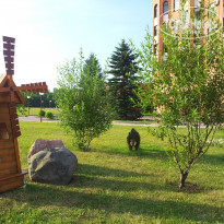 фото из отзыва ID 766578