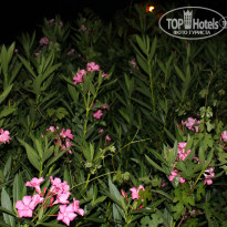 фото из отзыва ID 766589