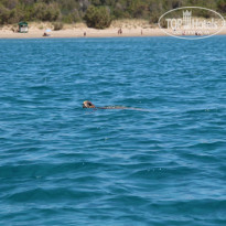 фото из отзыва ID 766615