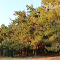 фото из отзыва ID 766615