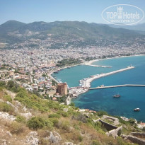 фото из отзыва ID 766904