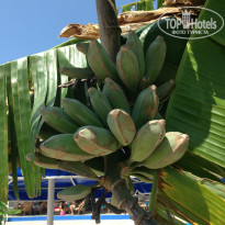 фото из отзыва ID 766997