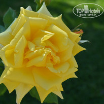 фото из отзыва ID 766316