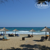 фото из отзыва ID 766316