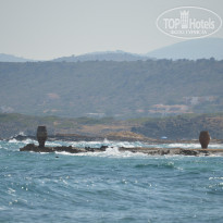 фото из отзыва ID 766316