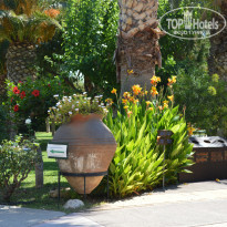 фото из отзыва ID 766316