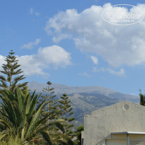 фото из отзыва ID 766316