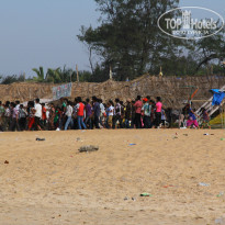 фото из отзыва ID 767107