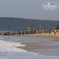 фото из отзыва ID 767107