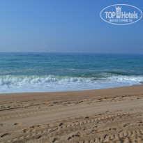 фото из отзыва ID 767271