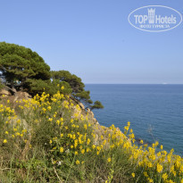 фото из отзыва ID 767271