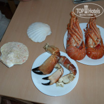 фото из отзыва ID 767303