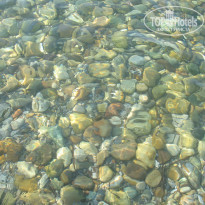 фото из отзыва ID 767414