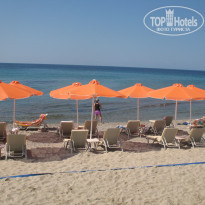 фото из отзыва ID 767414