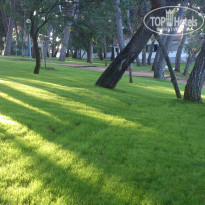 фото из отзыва ID 767437