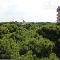 фото из отзыва ID 767502