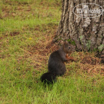 фото из отзыва ID 767437