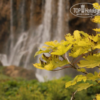 фото из отзыва ID 767437