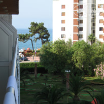 фото из отзыва ID 767535