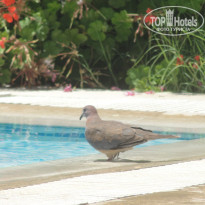 фото из отзыва ID 767041