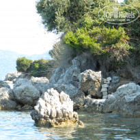 фото из отзыва ID 767606