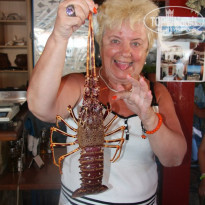 фото из отзыва ID 767604