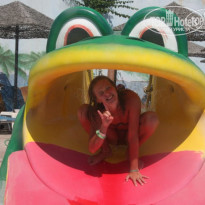 фото из отзыва ID 767604