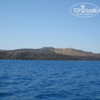 фото из отзыва ID 767654