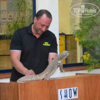 фото из отзыва ID 767831