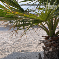 фото из отзыва ID 767629