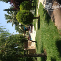 фото из отзыва ID 767529