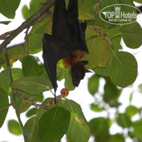 фото из отзыва ID 767406