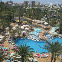 фото из отзыва ID 768016