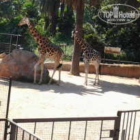 фото из отзыва ID 768045