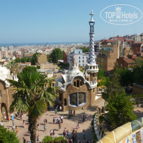 фото из отзыва ID 768045