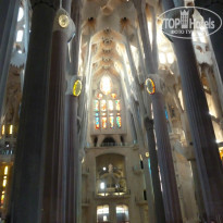 фото из отзыва ID 768045